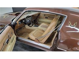 1977 Pontiac Firebird Trans Am (CC-1674277) for sale in Mankato, Minnesota