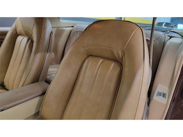 1977 Pontiac Firebird Trans Am (CC-1674277) for sale in Mankato, Minnesota
