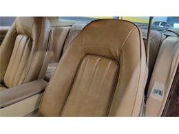 1977 Pontiac Firebird Trans Am (CC-1674277) for sale in Mankato, Minnesota
