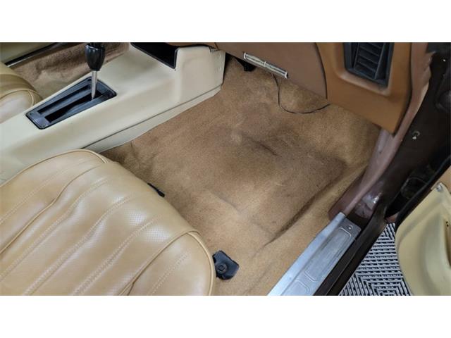 1977 Pontiac Firebird Trans Am (CC-1674277) for sale in Mankato, Minnesota