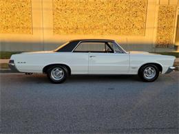 1965 Pontiac GTO (CC-1674566) for sale in Linthicum, Maryland