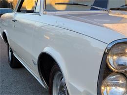 1965 Pontiac GTO (CC-1674566) for sale in Linthicum, Maryland