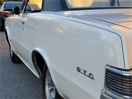 1965 Pontiac GTO (CC-1674566) for sale in Linthicum, Maryland