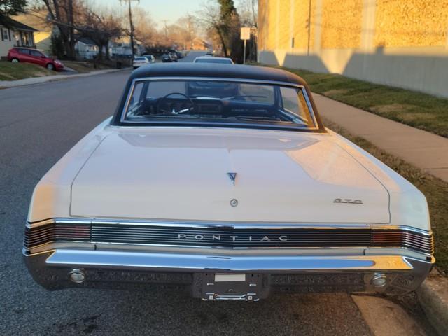 1965 Pontiac GTO (CC-1674566) for sale in Linthicum, Maryland