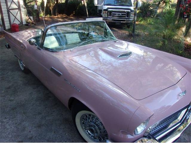 1957 Ford Thunderbird (CC-1675767) for sale in Cadillac, Michigan