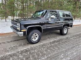 1989 Chevrolet Blazer (CC-1676200) for sale in Cadillac, Michigan