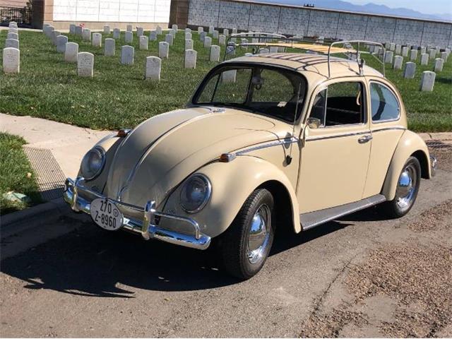 1966 Volkswagen Beetle (CC-1670629) for sale in Cadillac, Michigan