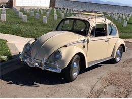 1966 Volkswagen Beetle (CC-1670629) for sale in Cadillac, Michigan