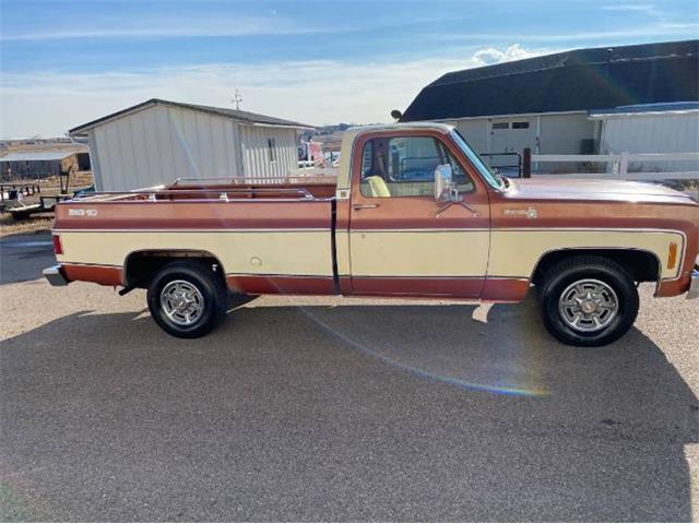 1978 Chevrolet C/K 1500 (CC-1670636) for sale in Cadillac, Michigan
