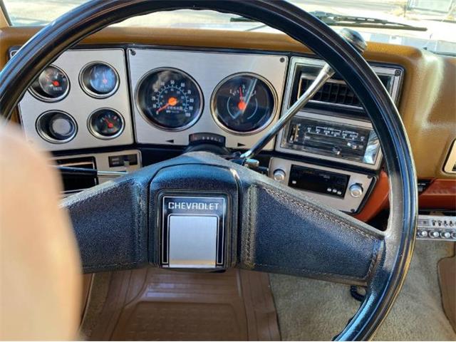 1978 Chevrolet C/K 1500 (CC-1670636) for sale in Cadillac, Michigan