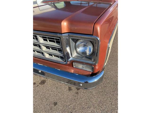 1978 Chevrolet C/K 1500 (CC-1670636) for sale in Cadillac, Michigan