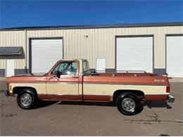 1978 Chevrolet C/K 1500 (CC-1670636) for sale in Cadillac, Michigan