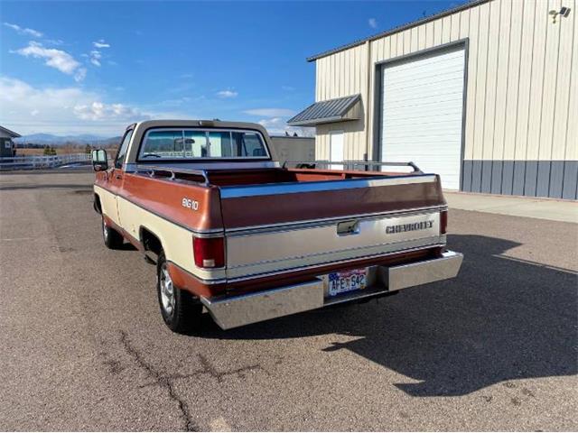 1978 Chevrolet C/K 1500 (CC-1670636) for sale in Cadillac, Michigan