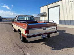 1978 Chevrolet C/K 1500 (CC-1670636) for sale in Cadillac, Michigan