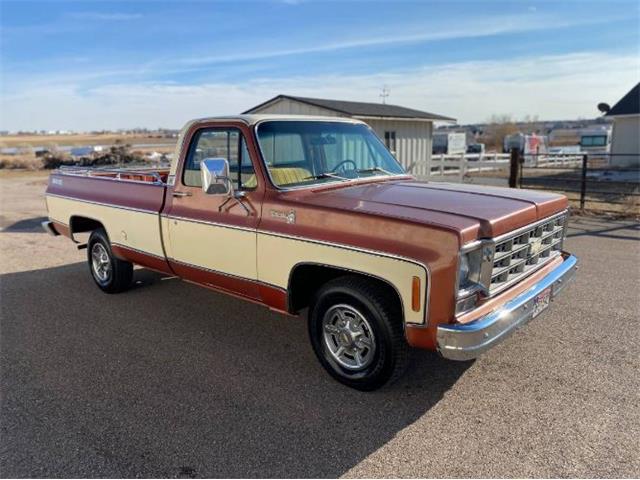 1978 Chevrolet C/K 1500 (CC-1670636) for sale in Cadillac, Michigan