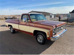 1978 Chevrolet C/K 1500 (CC-1670636) for sale in Cadillac, Michigan