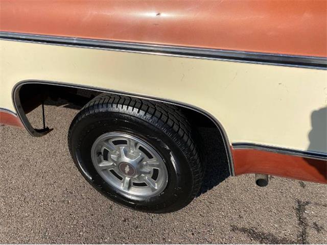 1978 Chevrolet C/K 1500 (CC-1670636) for sale in Cadillac, Michigan