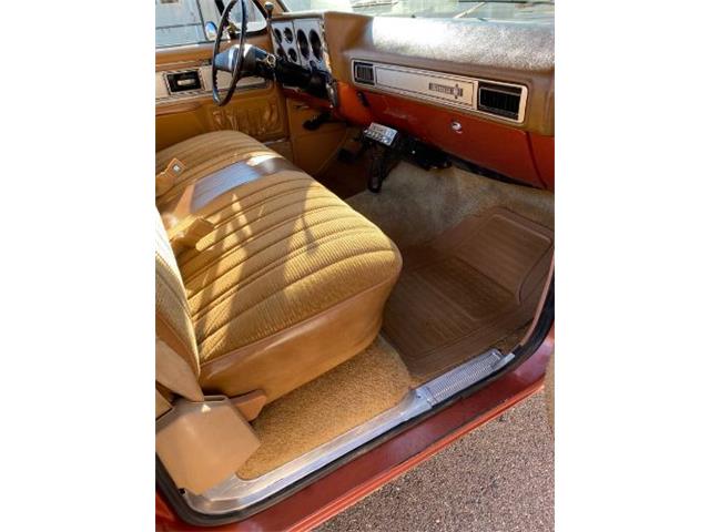 1978 Chevrolet C/K 1500 (CC-1670636) for sale in Cadillac, Michigan