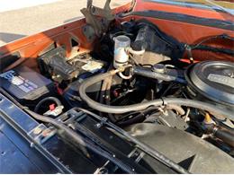 1978 Chevrolet C/K 1500 (CC-1670636) for sale in Cadillac, Michigan