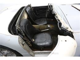 1955 Austin-Healey 100-4 (CC-1670676) for sale in Beverly Hills, California