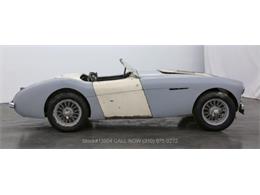 1955 Austin-Healey 100-4 (CC-1670676) for sale in Beverly Hills, California