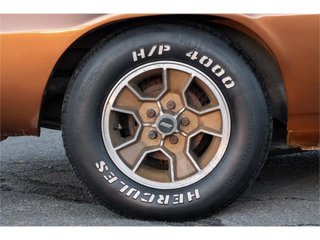 1979 Chevrolet Camaro Z28 (CC-1676877) for sale in Oxford, Connecticut