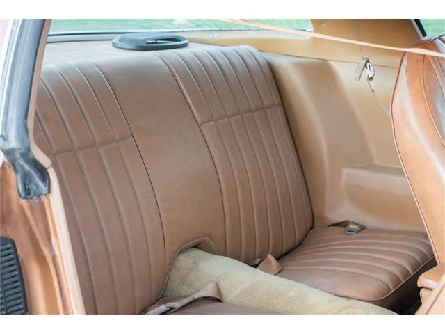 1979 Chevrolet Camaro Z28 (CC-1676877) for sale in Oxford, Connecticut