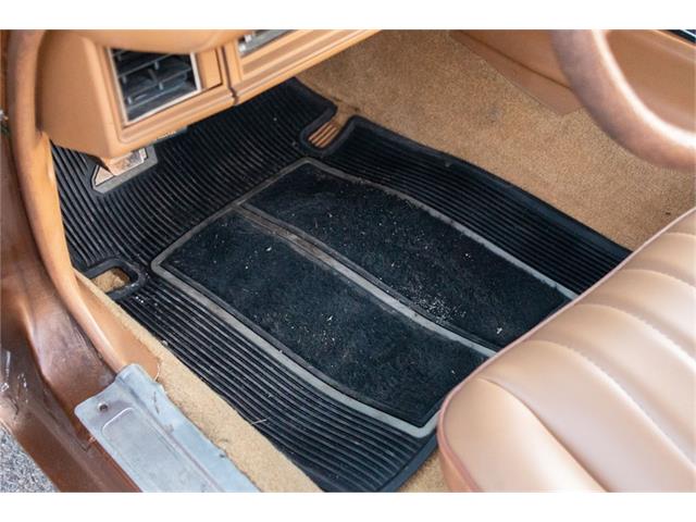 1979 Chevrolet Camaro Z28 (CC-1676877) for sale in Oxford, Connecticut