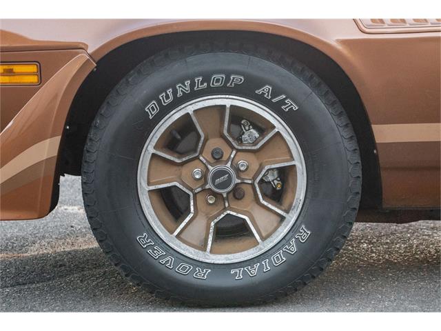 1979 Chevrolet Camaro Z28 (CC-1676877) for sale in Oxford, Connecticut