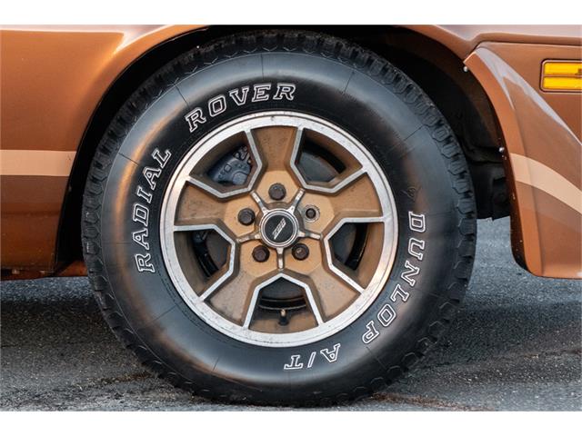 1979 Chevrolet Camaro Z28 (CC-1676877) for sale in Oxford, Connecticut