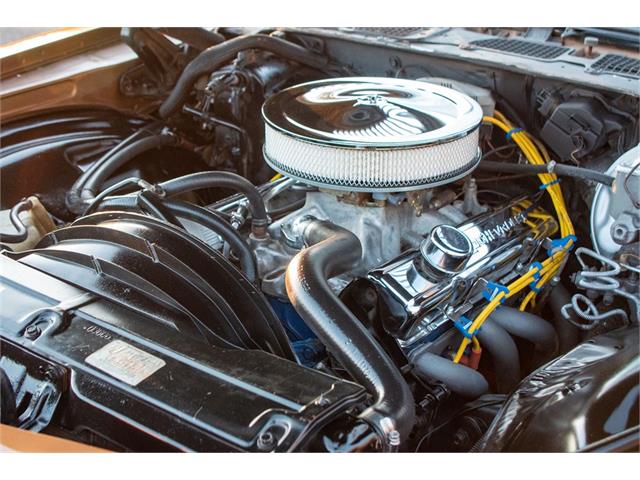 1979 Chevrolet Camaro Z28 (CC-1676877) for sale in Oxford, Connecticut