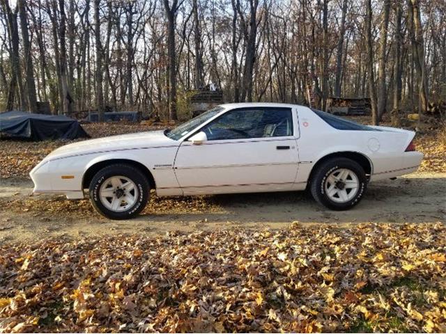 1984 Chevrolet Camaro (CC-1677353) for sale in Cadillac, Michigan