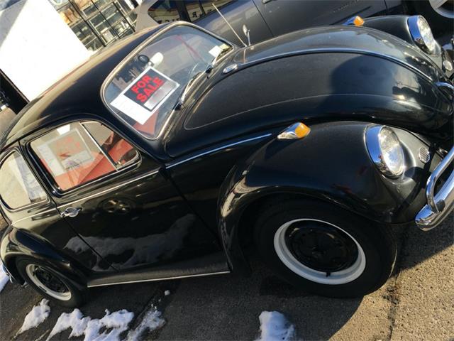 1967 Volkswagen Beetle (CC-1677963) for sale in Lake Hiawatha, New Jersey