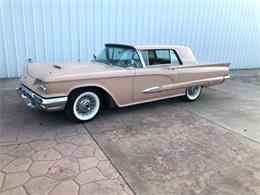 1959 Ford Thunderbird (CC-1678094) for sale in Cadillac, Michigan