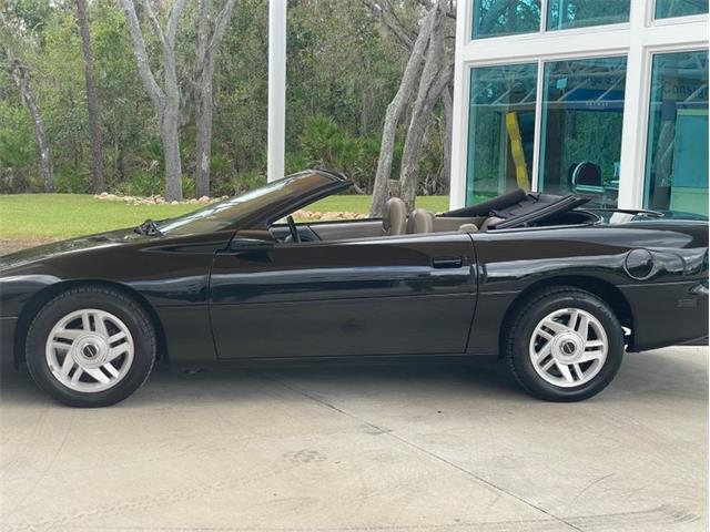1996 Chevrolet Camaro Z28 (CC-1678258) for sale in Palmetto, Florida