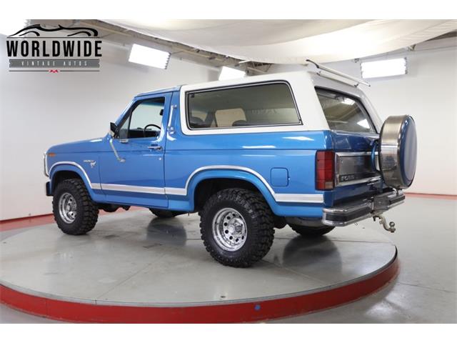 1981 Ford Bronco (CC-1681287) for sale in Denver , Colorado