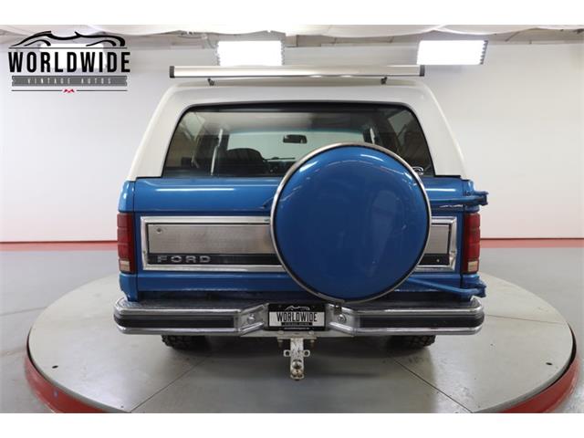 1981 Ford Bronco (CC-1681287) for sale in Denver , Colorado