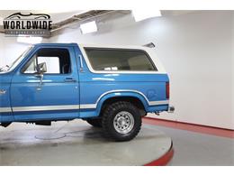 1981 Ford Bronco (CC-1681287) for sale in Denver , Colorado