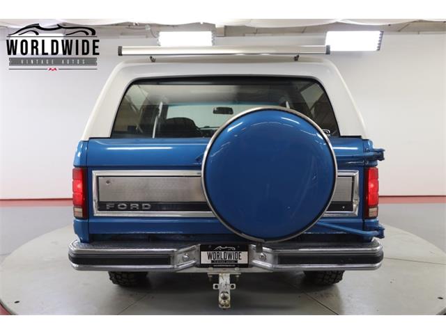 1981 Ford Bronco (CC-1681287) for sale in Denver , Colorado