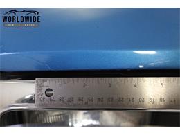 1981 Ford Bronco (CC-1681287) for sale in Denver , Colorado