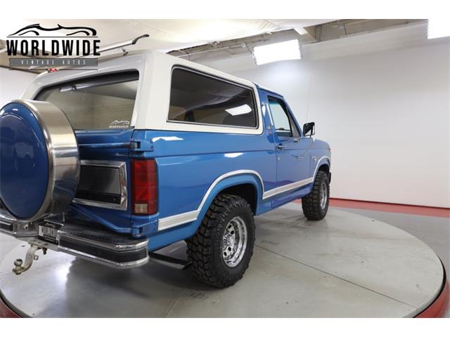 1981 Ford Bronco (CC-1681287) for sale in Denver , Colorado