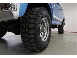 1981 Ford Bronco (CC-1681287) for sale in Denver , Colorado