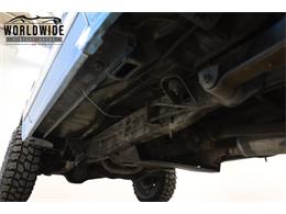 1981 Ford Bronco (CC-1681287) for sale in Denver , Colorado