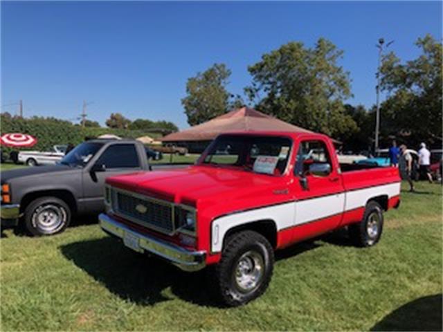 1973 Chevrolet C10 (CC-1681355) for sale in Peoria, Arizona