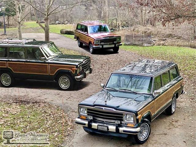 1991 Jeep Grand Wagoneer (CC-1681511) for sale in Bemus Point, New York