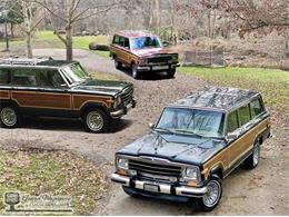 1991 Jeep Grand Wagoneer (CC-1681511) for sale in Bemus Point, New York