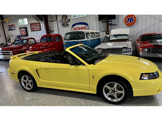 2001 Ford Mustang Cobra (CC-1680155) for sale in Hamilton, Ohio