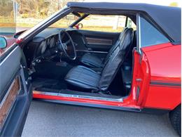 1971 Ford Mustang (CC-1681572) for sale in Greensboro, North Carolina