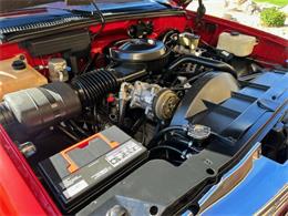 1988 Chevrolet Scottsdale (CC-1681573) for sale in Ft. McDowell, Arizona