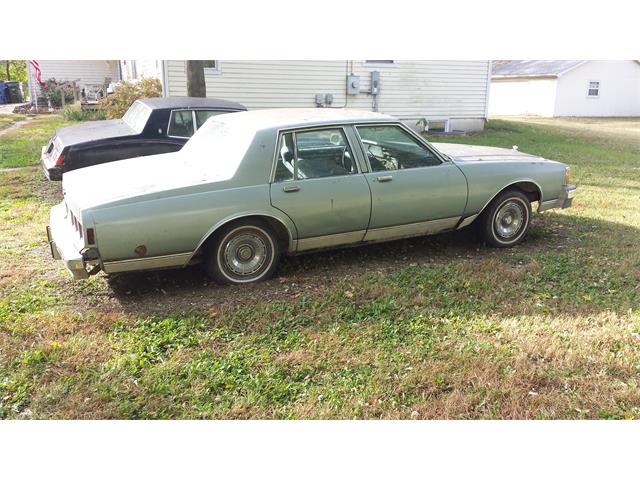 1981 Chevrolet Caprice (CC-1682208) for sale in Lawrence, Kansas